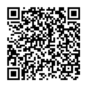 注意力重点放在天丹楼的面瘫中年炼丹师和气质出众的青年炼丹师以及楚暮身上二维码生成