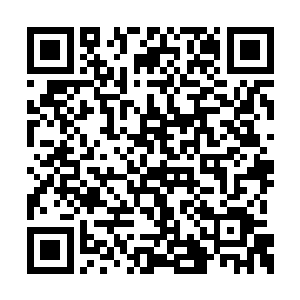 洪涛又开始和拉达展现他那些浅薄的军事知识了二维码生成