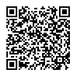 洪涛又指了指正在从脸上用手指头往下抹牛奶往嘴里舔的帕里斯姐妹二维码生成