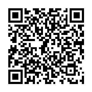 灵隐学院的机关布置以及巡逻动向等等我已经是收集清楚了二维码生成