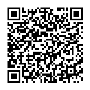 然后你们需要跟随着我们的一直精英部队从这悬崖的后壁攀爬上去二维码生成