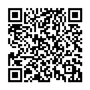 然后利用我的力量去破海东海海眼――你根本就没能完全破封二维码生成