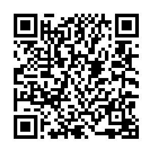 熊孩子对于天道力量的感知和掌控已经得到了极大的增强二维码生成