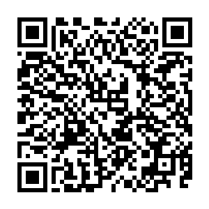 猛地将手中的那根绿色法杖重重地插入到了她脚下那泥泞污臭的泥地之中二维码生成