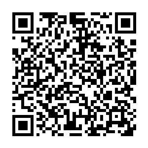 现在哪怕几百个金币也买不到一碗口味能比得上老妈你做出来的米酿二维码生成