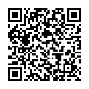 现在龙傲天基本上已经将自己最大的防护手段都拿出来了二维码生成