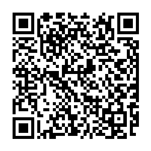 甄巧笑着将付姨娘端端正正坐着打算受李春跪拜之礼的事情讲了出来二维码生成