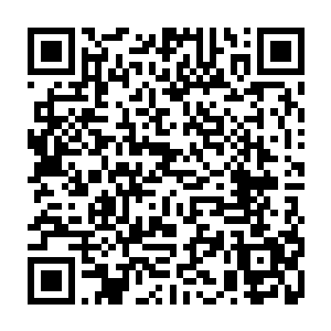 甚至到最后还以500亿韩元的代言费邀请我们少女时代做卡地亚亚洲代言人二维码生成