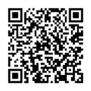 甚至连自己损毁了他的龙王兰他也居然轻易的放过了自己二维码生成