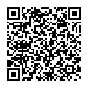 生命值后面那个数字则是她现在装备加成以及城主大人给他的祝福二维码生成