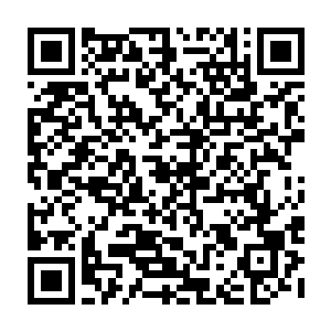 用两根前足小心翼翼的从剑尘手中结过这颗体积丝毫不比它身躯小的紫云仙桃二维码生成