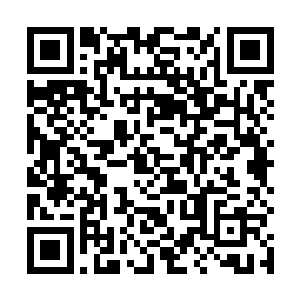 白爱月原本因为即将当选董事而激动得桃花一样的俏脸二维码生成