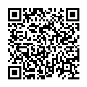 皆凭官帖进入衙门左侧的锦园――乃是历年召开织锦大会的地方二维码生成