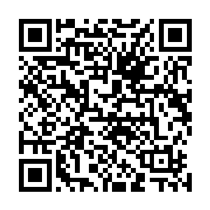 皇后自从嫁给皇上第二年小产之后便彻底伤了身子不能再孕二维码生成