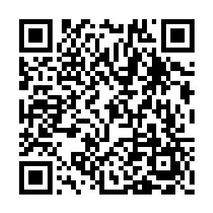 相比起以往只是卖宠物的地方比较热闹的情况外二维码生成