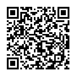 看完新闻他抱着从法院取回来的材料慌张地跑回芮阁的办公室二维码生成