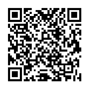 确保队伍中的每个人都能够清楚看到下面场地的战斗状况二维码生成