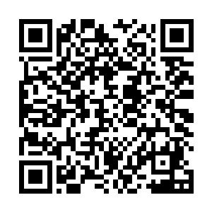 秘星会不但公布了大量从碎片世界带回来的秘宝和功法二维码生成