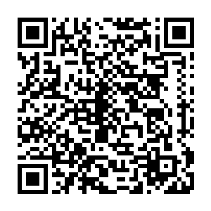 秦宇会冒出这样的念头实在是因为他所看到的饿鬼道和他想象的中的完全不一样二维码生成