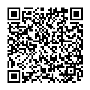 秦洛先生和他的朋友见义勇为――我们正在商量给予小偷严厉的刑事处罚二维码生成