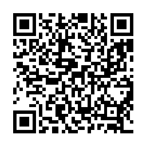 竟然可以随着江少游扭动按钮的方向前后左右随意地弯曲二维码生成