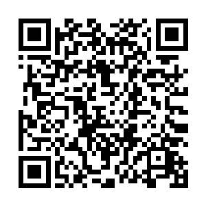 第一批从黑森林里面出来的魂兽大军的统领想要见杨风二维码生成