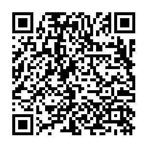 系统……系统肯定是出问题了……不应该存在这种无法完成的副本的……我二维码生成