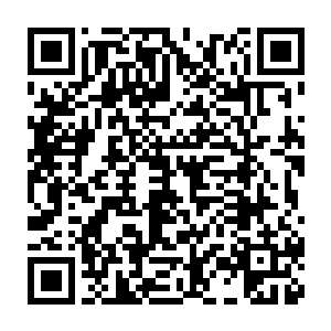 紧绷着身体与右手恼怒得催促了几次夭华将孩子抱回去没有结果后二维码生成