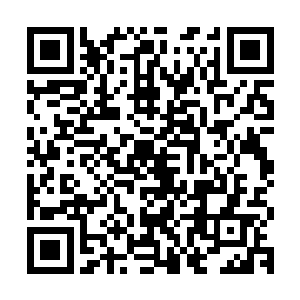 紫青剑灵的本源力量化为一道紫青两色的光线刺向三长老的咽喉二维码生成