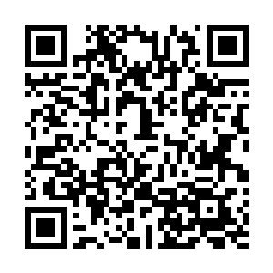 纪委书记戴宝楠和副市长张兴勇在得到自己的儿子在酒后二维码生成