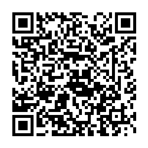 纯白色的机身上只有黑色金色的六根细条从尖吻上一直贯通到机尾二维码生成