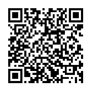 结果那个发出豪言的修士和他的宗门被九大宗门杀得片甲不留二维码生成