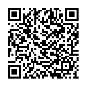 而且一个人上台表演些术法也着实没有什么意思二维码生成