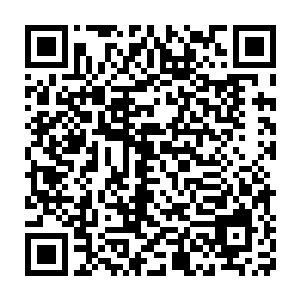 而且他们也终于明白为什么他们的守护神为什么会那么维护夏天了二维码生成