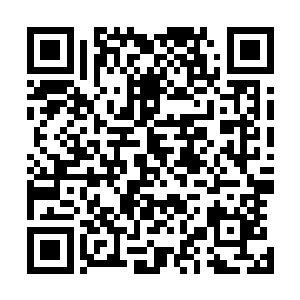 而且他们的渔船现在几乎满载之后直接前往这里的渔港出售二维码生成