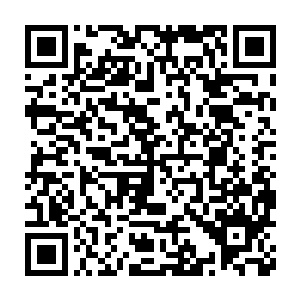 而且很多的恐怖片什么的都是因为科学家做错了试验研究才会发生的二维码生成