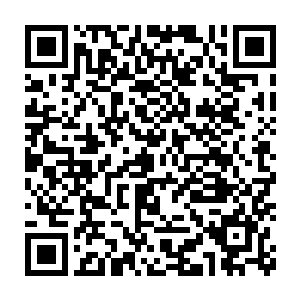 而且用这种方法给他们筑基之后他们的灵力之中或许还会带点混沌属二维码生成