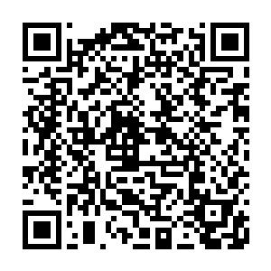 而今早就来到这里处理那些野味的厨子们也把已经准备好的各种野味交给了他们二维码生成