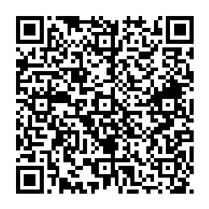 而那个石碑之上显示出来的前十名一定也是在本体强度和元神境界超过了地尊后期巅峰境界二维码生成