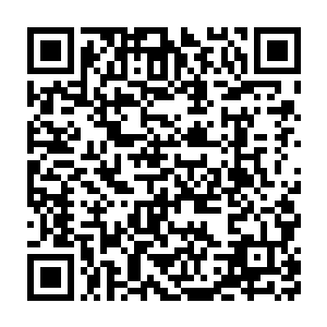 自从上次和那些剑圣傀儡的战斗之后龙傲天的战斗经验也有了质的提升二维码生成