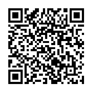 自信满满的杨辰才戏谑地看向被自己控制着的子浩法师二维码生成