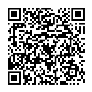 自己另外两具化身为什么会陨落在那两个区区只有不朽之境的家伙手上二维码生成