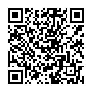 至少也会有一个金丹期的修士把他收为亲传弟子的二维码生成