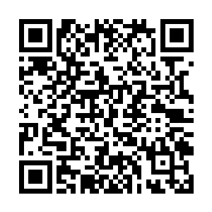 苏青黛就能猜到金晓晓今日这生日宴会绝对不是一般二维码生成