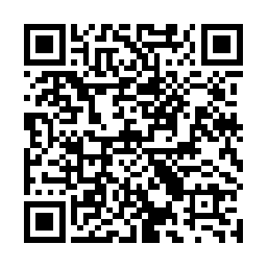 莫修染绝对不会以第一道子的身份来和华夏九进行豪赌二维码生成