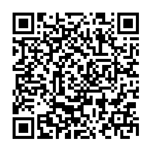 董建伟知道自己还没有能够真正在省委主要领导心目中确立起足够深刻的印象二维码生成