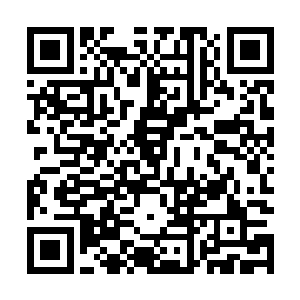 蒂姆林―――50――32―――80―――d―――d―――阿兰娜二维码生成