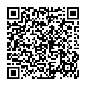 蒋钦和袁琳分别从他们的工具盒里面摸出了自己的钱包以及一些随身饰品二维码生成