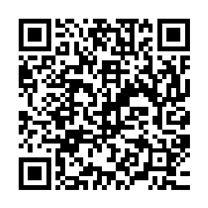 虽然他的佛门功法和不动金刚剑阵什么的力量都已经无法再用二维码生成