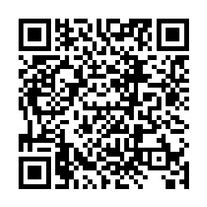 虽然龙傲天勉强可以发出神级的魔法但是却十分的费力二维码生成